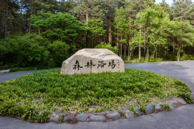 Çin, Changchun 'daki Jingyuetan Ulusal Orman Parkı' nda yaz manzarası.