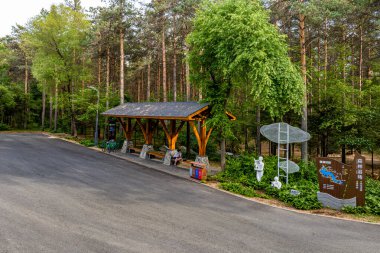 Çin, Changchun 'daki Jingyuetan Ulusal Orman Parkı' nda yaz manzarası.