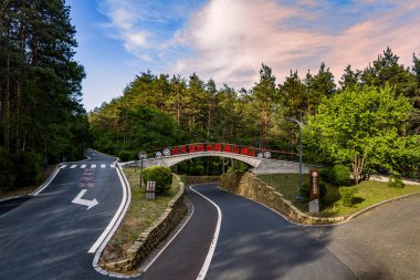 Vasa Köprüsü Jingyuetan Ulusal Orman Parkı, Changchun, Çin Yazın
