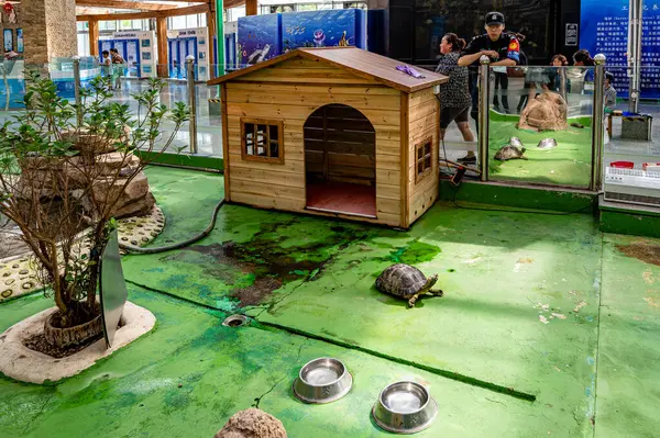 16 Ağustos 2024, Changchun, Çin, 23. Çin Changchun Uluslararası Tarım ve Gıda Fuarı Balıkçılık Pavyonu manzarası).