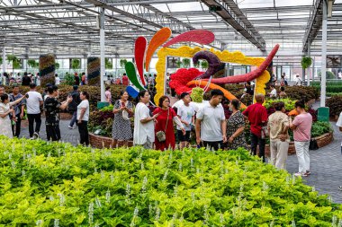 August 16, 2024, Changchun, China, scenes of the fresh cut flower display area at the 23rd China Changchun International Agricultural and Food Expo (Trade). clipart