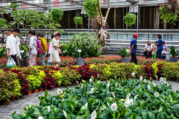 stock image August 16, 2024, Changchun, China, scenes of the fresh cut flower display area at the 23rd China Changchun International Agricultural and Food Expo (Trade).