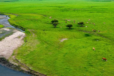 Wulan Nehri ve İç Moğolistan 'daki çayırlar, Çin