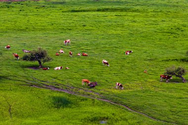 Çin, İç Moğolistan, Wulanmaodu Çayırı