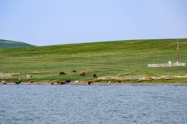 Scenic spot of Hulun Lake in Hulunbuir, Inner Mongolia, China clipart