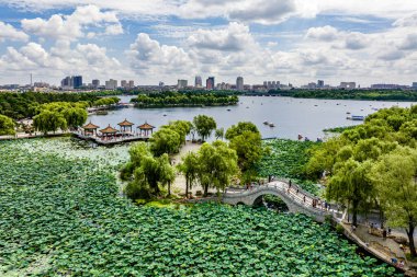 Nanhu Park, Changchun, Çin 'de nilüfer çiçekleri açar.