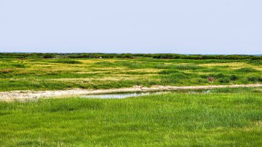 Hulunbuir Bataklıkları. Hayır. 33, İç Moğolistan, Çin