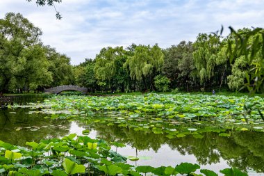 Shenyang, Çin 'deki Beiling Park Manzarası