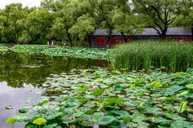Shenyang, Çin 'deki Beiling Park Manzarası