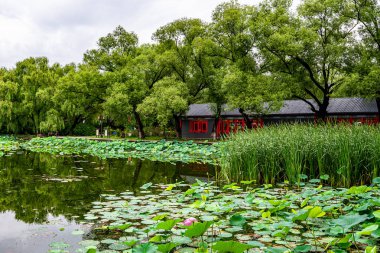 Shenyang, Çin 'deki Beiling Park Manzarası