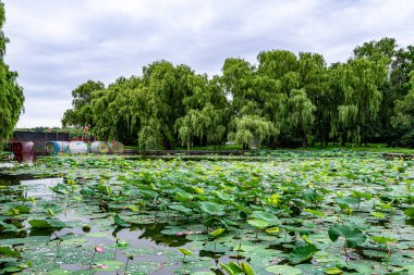 Shenyang, Çin 'deki Beiling Park Manzarası