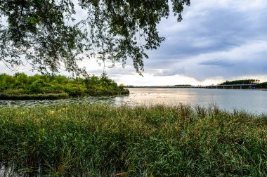 Sonbaharda Çin 'in Shenyang kentindeki Dingxiang Gölü Parkı manzarası.