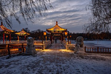 Nanhu Park 'ın kış gecesi manzarası, Changchun, Çin