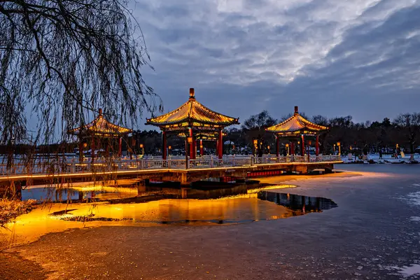 Nanhu Park 'ın kış gecesi manzarası, Changchun, Çin