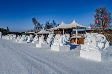 Jingyuetan 'da Kardan Adam, Changchun, Çin