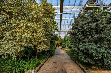 16 Ocak 2025 'te, 15. Çin Changchun Kış Tarım Fuarı Dünya Tarım Parkı' nda beş kıtadan 300 'den fazla karakteristik bitki ve tarım uygarlığı sergilendi..