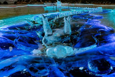 Buz ejderhası - 30 metre uzunluğunda buz ejderhası Nanhu Park, Changchun, Çin 'de sergileniyor.