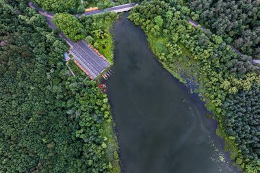 Mantar Meydanı, Jingyuetan Ulusal Orman Parkı, Changchun, Çin