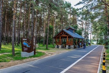 Küçük Orman Banyo Kumsalı, Jingyuetan Ulusal Orman Parkı, Changchun, Çin