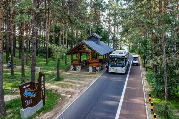Küçük Orman Banyo Kumsalı, Jingyuetan Ulusal Orman Parkı, Changchun, Çin