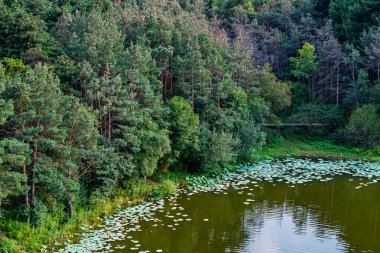 Kara Çam Ormanı Sahne Bölgesi, Jingyuetan Ulusal Orman Parkı, Changchun, Çin