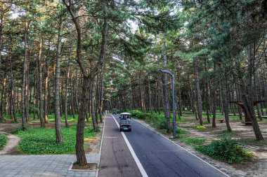 Kara Çam Ormanı Sahne Bölgesi, Jingyuetan Ulusal Orman Parkı, Changchun, Çin