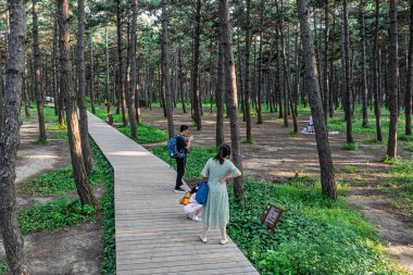 Kara Çam Ormanı Sahne Bölgesi, Jingyuetan Ulusal Orman Parkı, Changchun, Çin