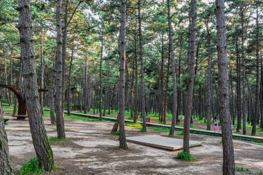 Kara Çam Ormanı Sahne Bölgesi, Jingyuetan Ulusal Orman Parkı, Changchun, Çin