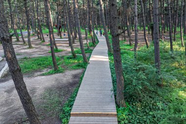 Kara Çam Ormanı Sahne Bölgesi, Jingyuetan Ulusal Orman Parkı, Changchun, Çin