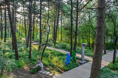Kara Çam Ormanı Sahne Bölgesi, Jingyuetan Ulusal Orman Parkı, Changchun, Çin