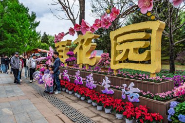 1 Mayıs 2025 'te, Mayıs Bayramı' nda Changchun Baihua Bahçesi Çiçek Festivali Çin 'in Changchun şehrinde başladı..