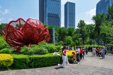 18 Mayıs 2025 'te, Çin' in Changchun şehrinde, Peony Garden 'daki şakayıklar tamamen çiçek açmış, popülerlik yüksek..