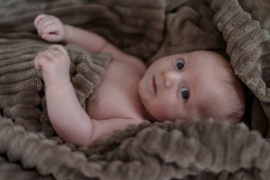 Newborn baby boy, wrapped in blanket, lying