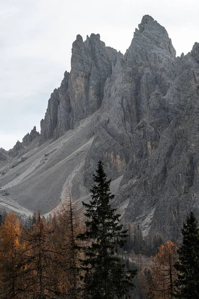Los Picos Cordillera Cadini Alpes Dolomitas Italia — Foto de Stock