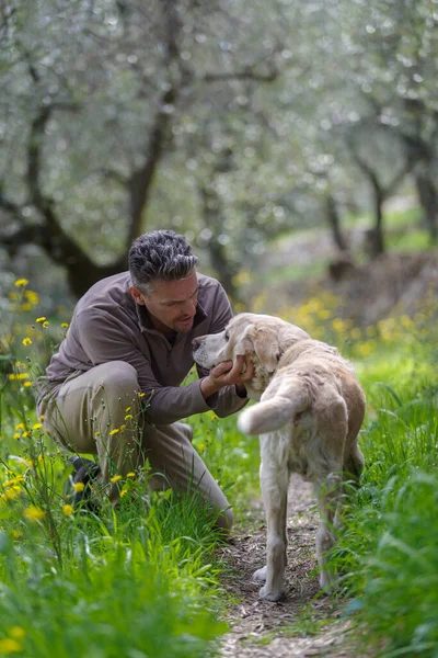 Uomo Che Gioca Con Labrador Retriever Maschio Anni — Foto Stock