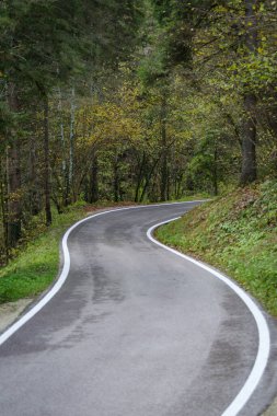 Ormanlık alanda yol, Dolomitler; Trentino Alto Adige; İtalya;