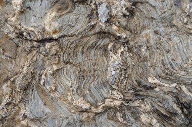 Kaya yüzeyinin tam kare görüntüsü.