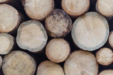 Dilimlenmiş odun yığınları üst üste diziliyor.