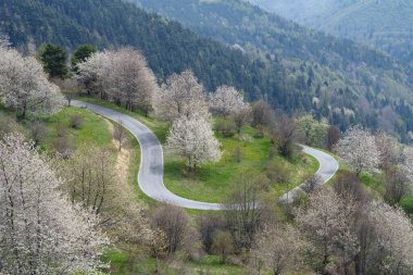 Dağların arasından yükselen yol manzarası, Ligurian Alpleri, İtalya