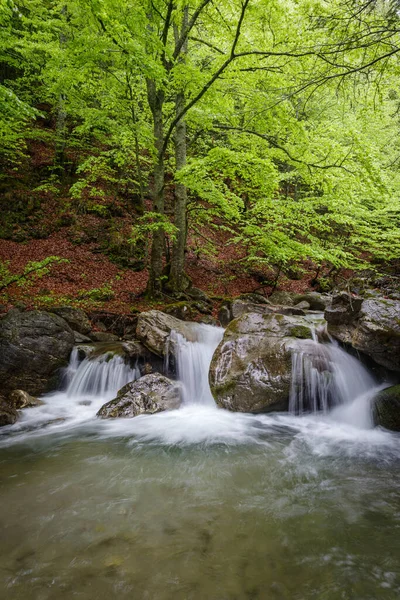 Landschappelijk Uitzicht Rivier Het Bos Regionaal Natuurpark Van Ligurische Alpen — Stockfoto