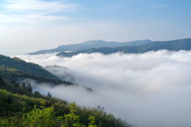 İtalya 'daki Ligurian Alpleri dağlarında sis var.