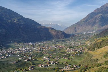 Tirol 'de (Dorf Tirol) görülen köy ve üzüm bağlarının genel görünümü, Güney Tyrol, İtalya