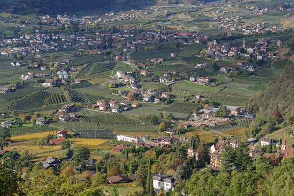 Vue Ensemble Village Des Vignobles Partir Tyrol Dorf Tirol Tyrol — Photo