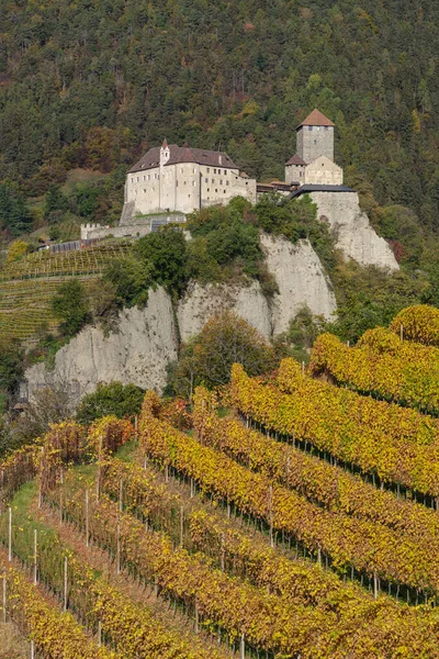 意大利蒂罗洛 2022年10月29日 提洛尔城堡的景观 被葡萄园环绕 意大利Trentino Alto Adige — 图库照片