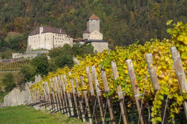 Tirolo, İtalya - 29 Ekim 2022: Tyrol Kalesi 'nin 11.-13. yüzyıl manzarası, üzüm bağları, Trentino-Alto Adige, İtalya
