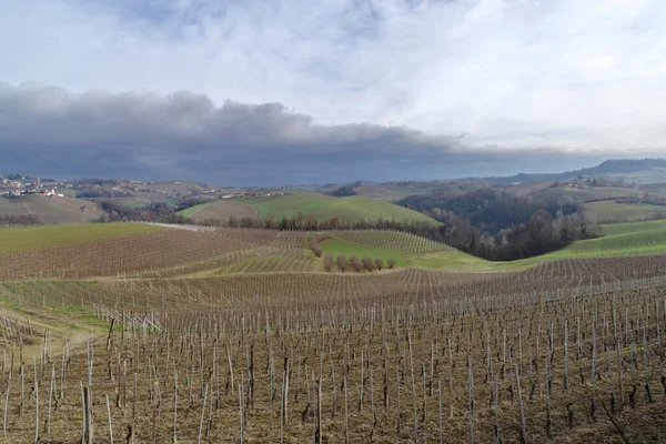 Langhe Deki Tepeler Kırsal Bölge Piedmont Bölgesi Kuzey Talya — Stok fotoğraf