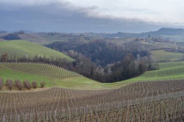 Langhe 'deki tepeler ve kırsal bölge, Piedmont bölgesi, Kuzey İtalya 