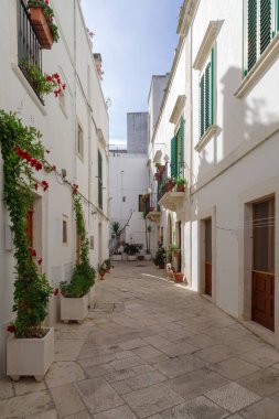 Eski Locorotondo, Itria Vadisi, Apuglia Bölgesi 'ndeki Whitewashed Caddesi.