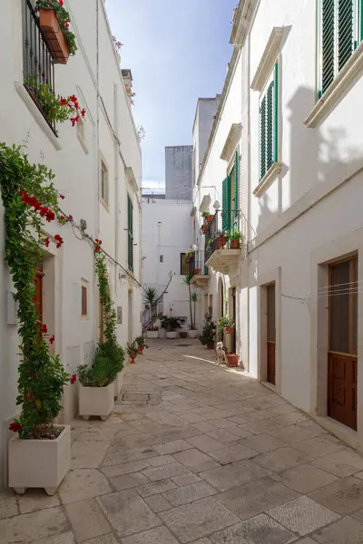 stock image Whitewashed street in the old town of Locorotondo, Itria Valley, Apuglia region