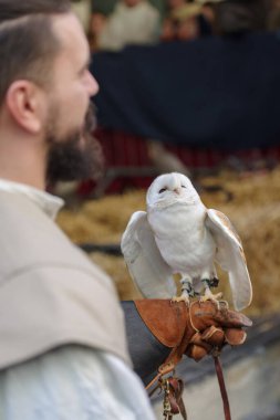 Taggia, İtalya - 25 Şubat 2024: İtalya 'nın Liguria bölgesindeki tarihi Taggia kentinde çeşitli yırtıcı kuşlarla birlikte ortaçağ festivalinde Falconry gösterisi